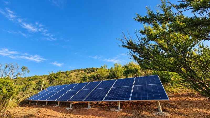 Paneles solares sobre estructura en suelo rodeados de vegetación.